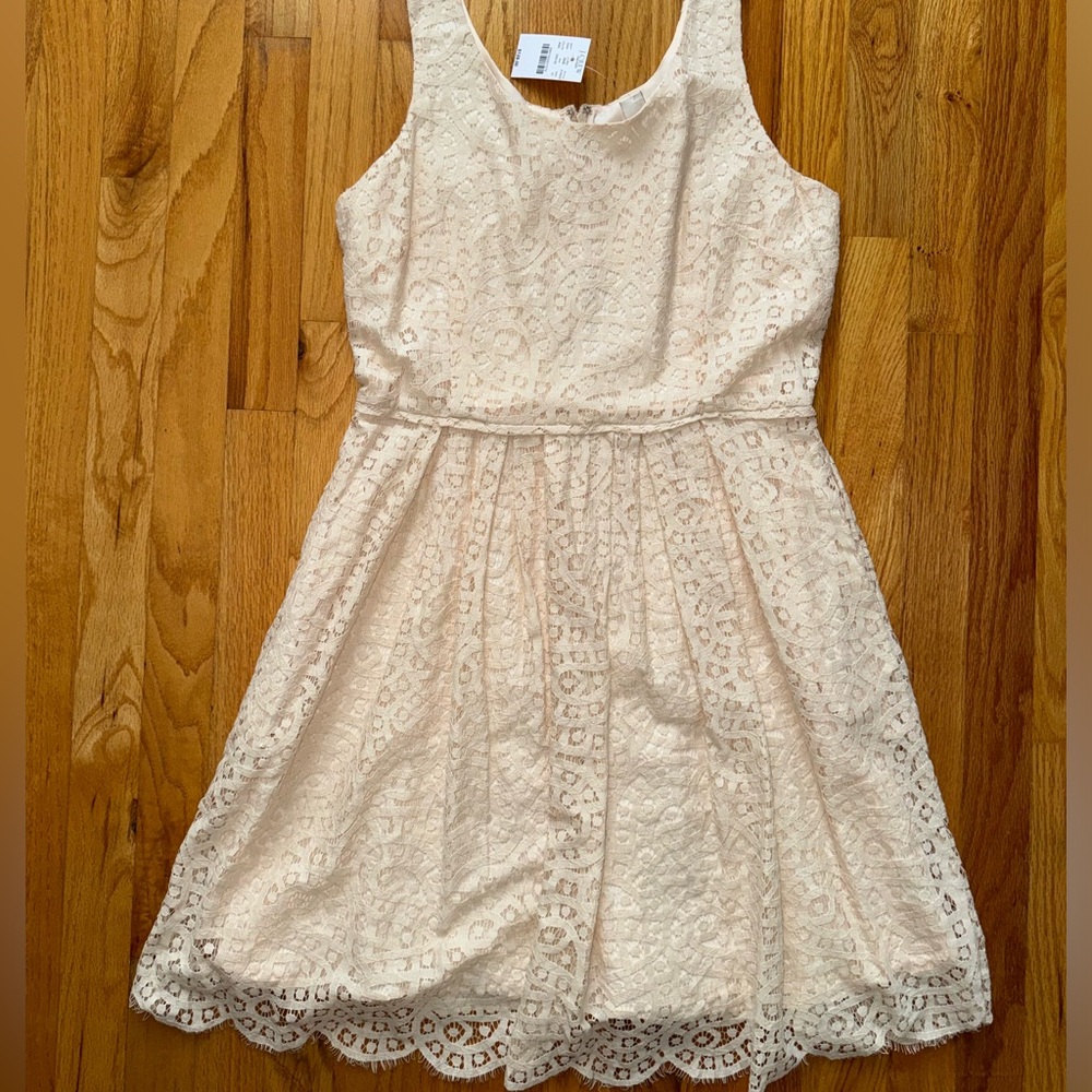 BRAND NEW with Tags J. Crew Dress